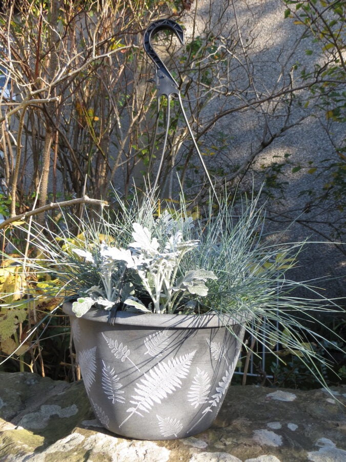 Fern Planter and Basket Collection