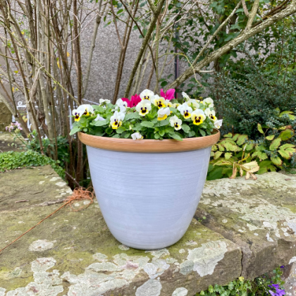 honey pot plant pot Honey Pot Planter – Hope Plants Ltd