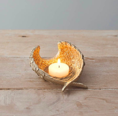 Candles & Fragrances