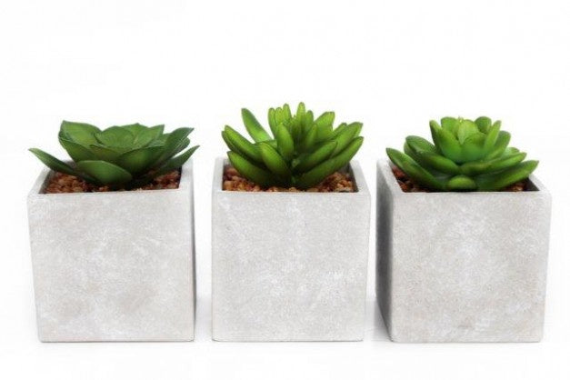 Artificial Succulents in Concrete Pots