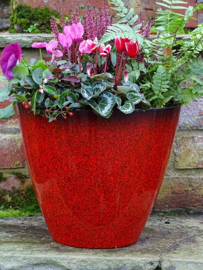 Savannah Fusion Planter