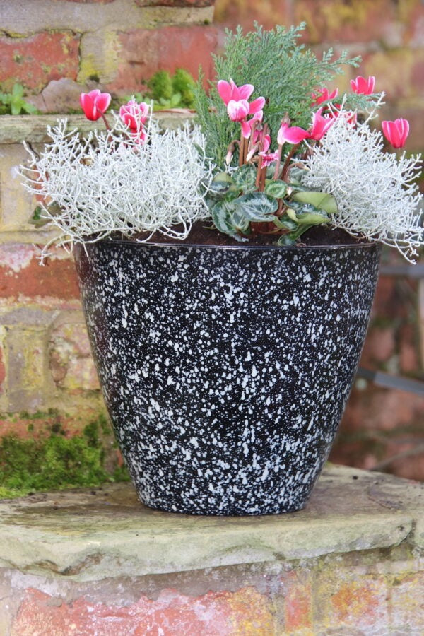 Savannah Fusion Planter