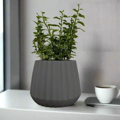 Groove planter - For indoor use