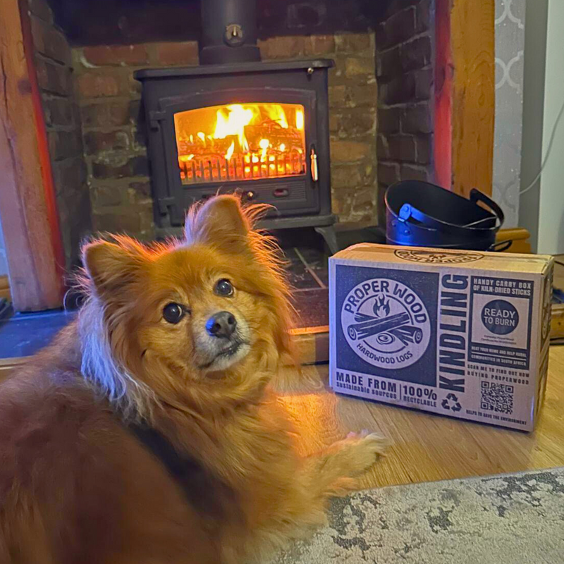 Kiln-Dried Hardwood Kindling – Quick to Ignite & Ready to Burn, 4.5kg Large Box