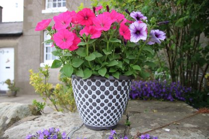 Bell Quilt Planter