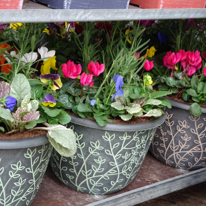 Serenity Planters