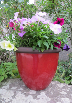 Belair Planter