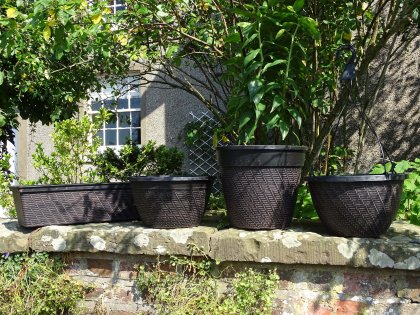 Black Rattan Range