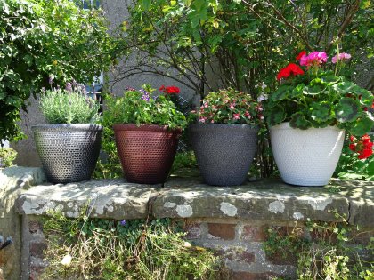 Cromarty Planters