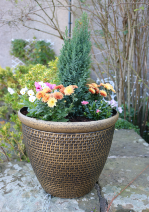 Cromarty Planters