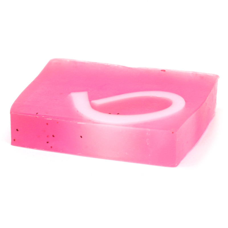 Wild and Natural Hand-Crafted Soap Slices
