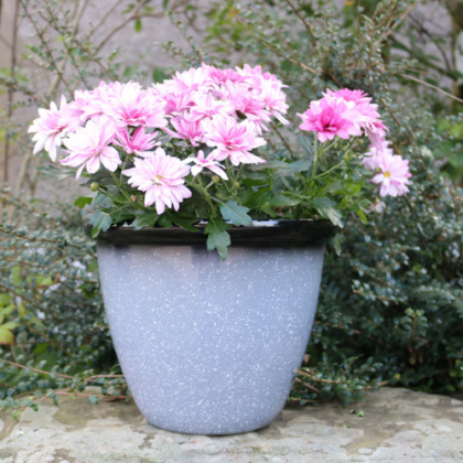 Honey Pot Planter