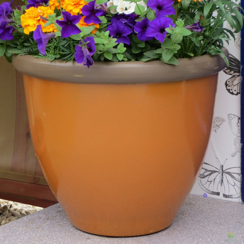 Belair Planter