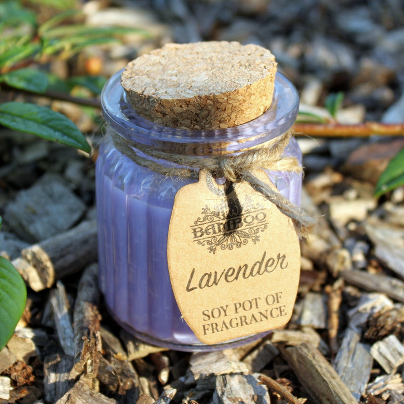 Soy Pot of Fragrance Candle Set of 2