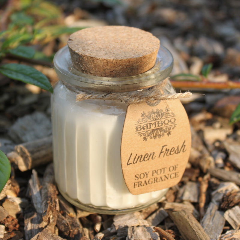 Soy Pot of Fragrance Candle Set of 2