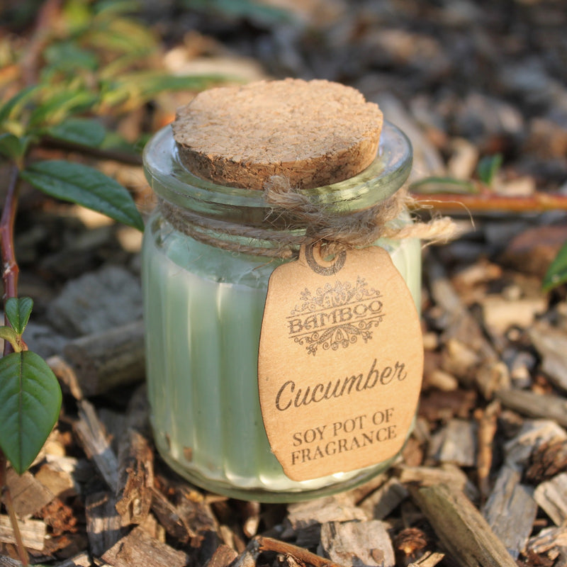 Soy Pot of Fragrance Candle Set of 2