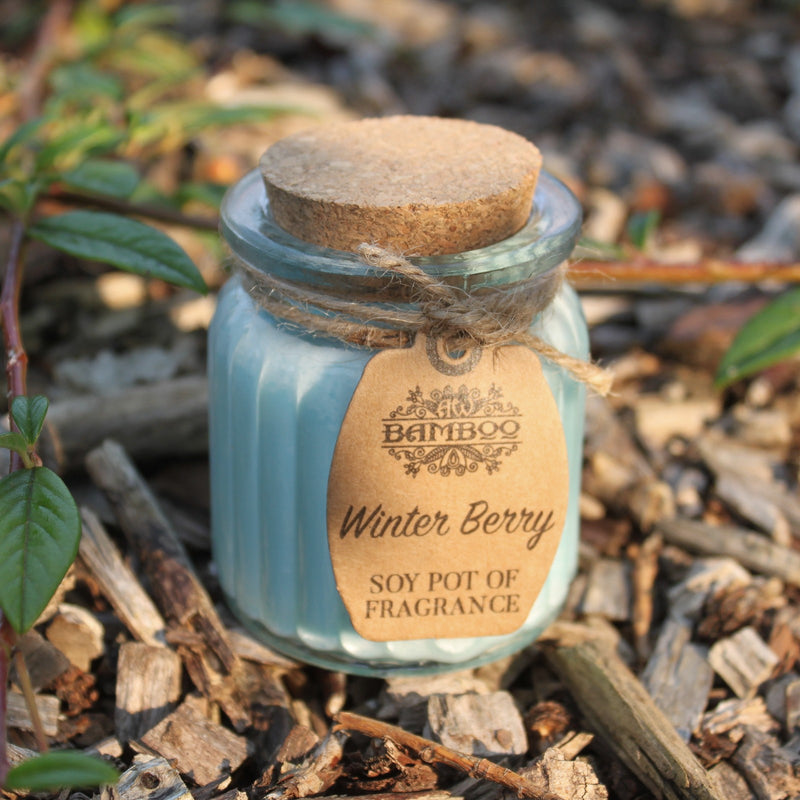 Soy Pot of Fragrance Candle Set of 2