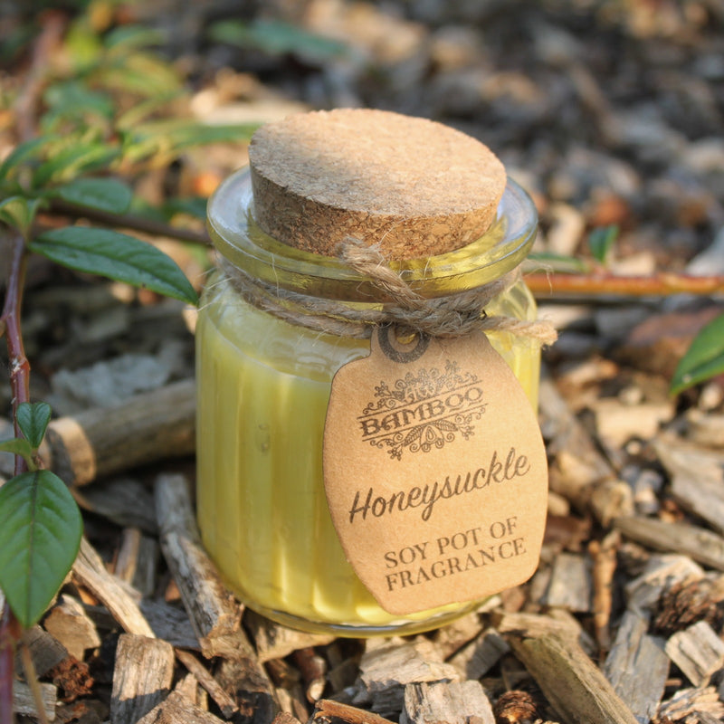 Soy Pot of Fragrance Candle Set of 2