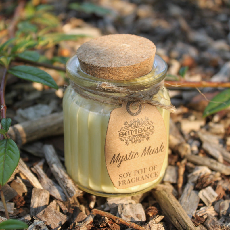 Soy Pot of Fragrance Candle Set of 2