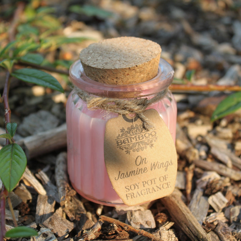 Soy Pot of Fragrance Candle Set of 2