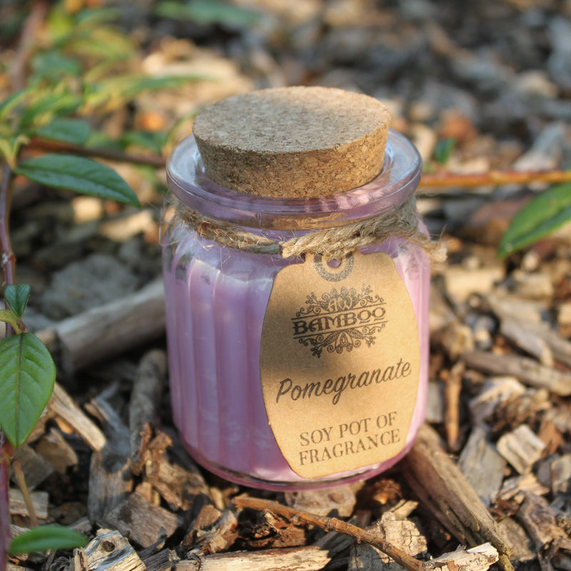 Soy Pot of Fragrance Candle Set of 2