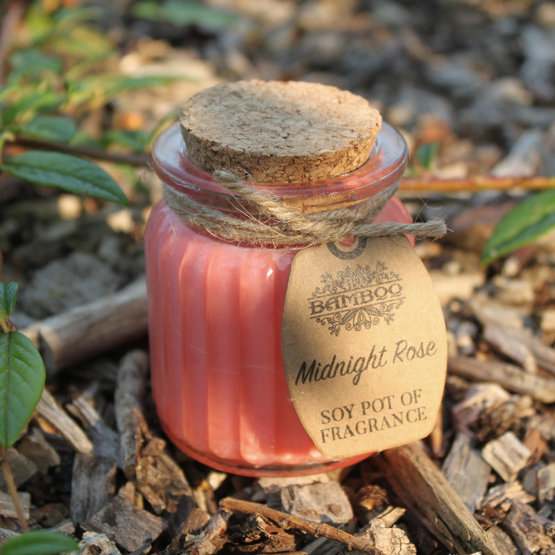 Soy Pot of Fragrance Candle Set of 2