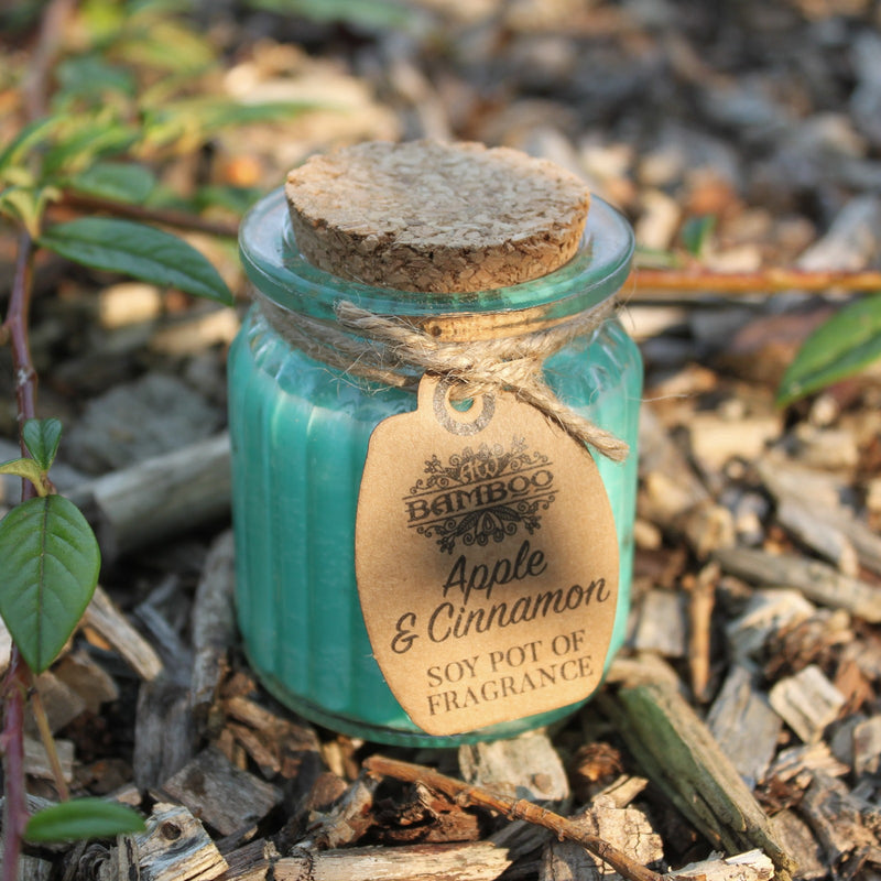 Soy Pot of Fragrance Candle Set of 2