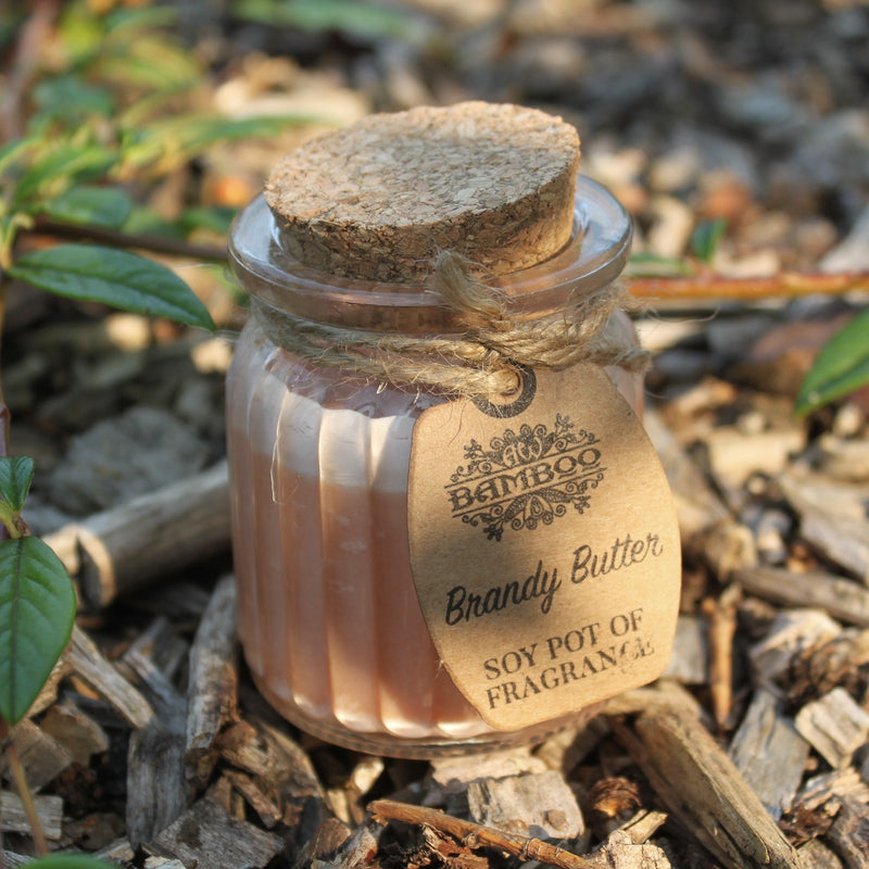 Soy Pot of Fragrance Candle Set of 2