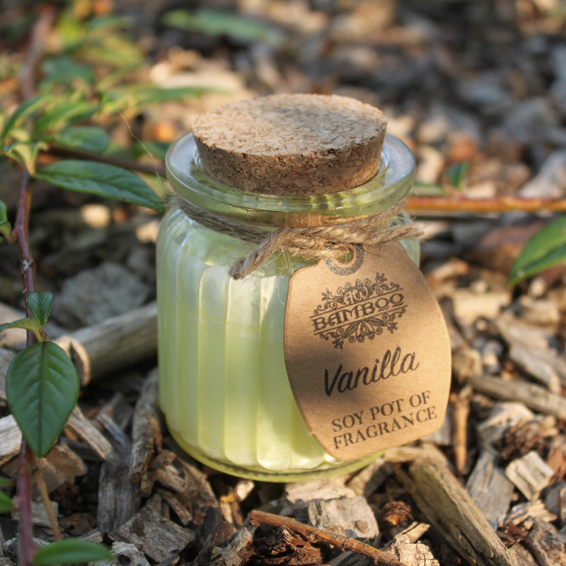 Soy Pot of Fragrance Candle Set of 2
