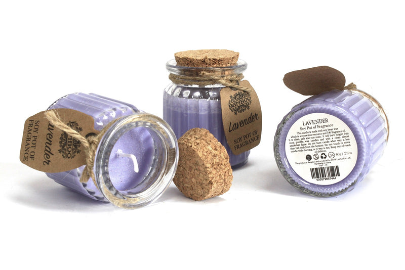 Soy Pot of Fragrance Candle Set of 2