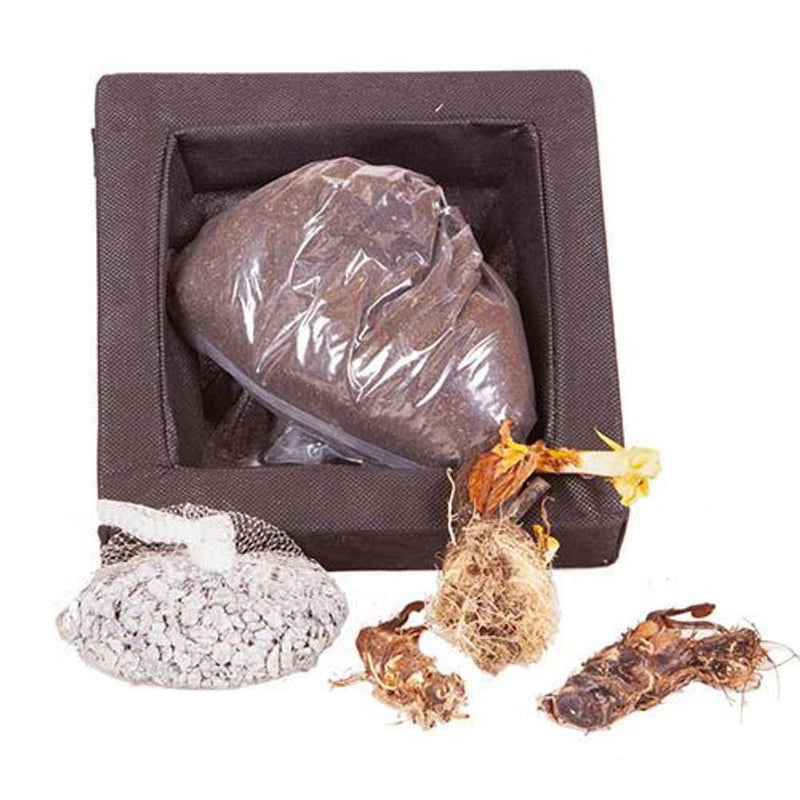 Floating Pond Plant Raft Kit