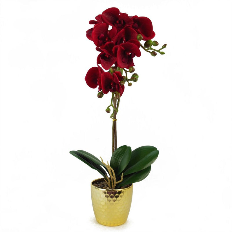 50cm Phalaenopsis Orchid Artificial - Dark Red - Gold Pot