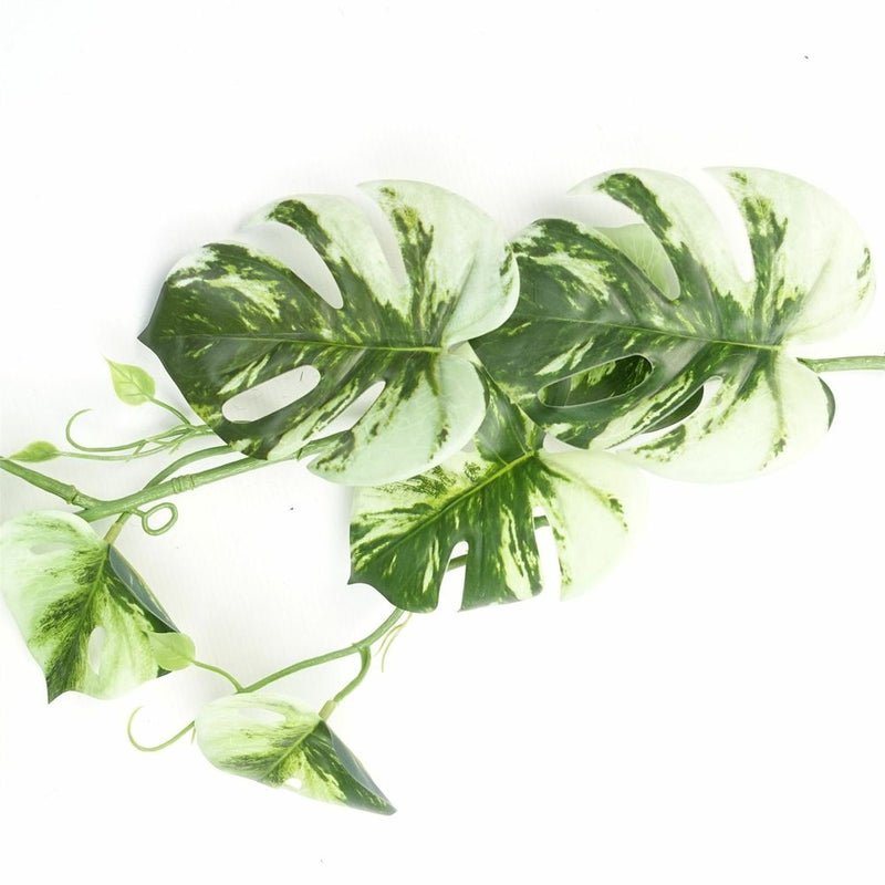 180cm Artificial Trailing Hanging Variegated Monstera Plant Realistic