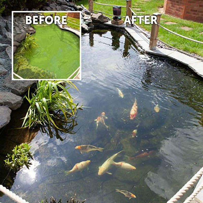 Blooming Fast Pond Clear Pro 2 Step Pack - Medium