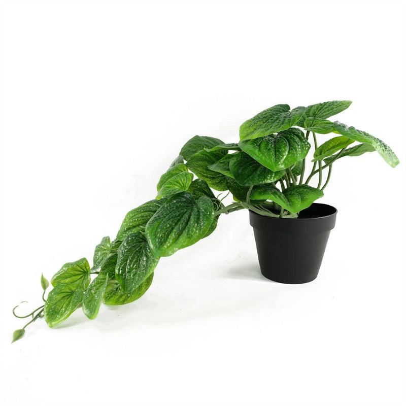 35cm Artificial Trailing Green Potted Pothos Plant