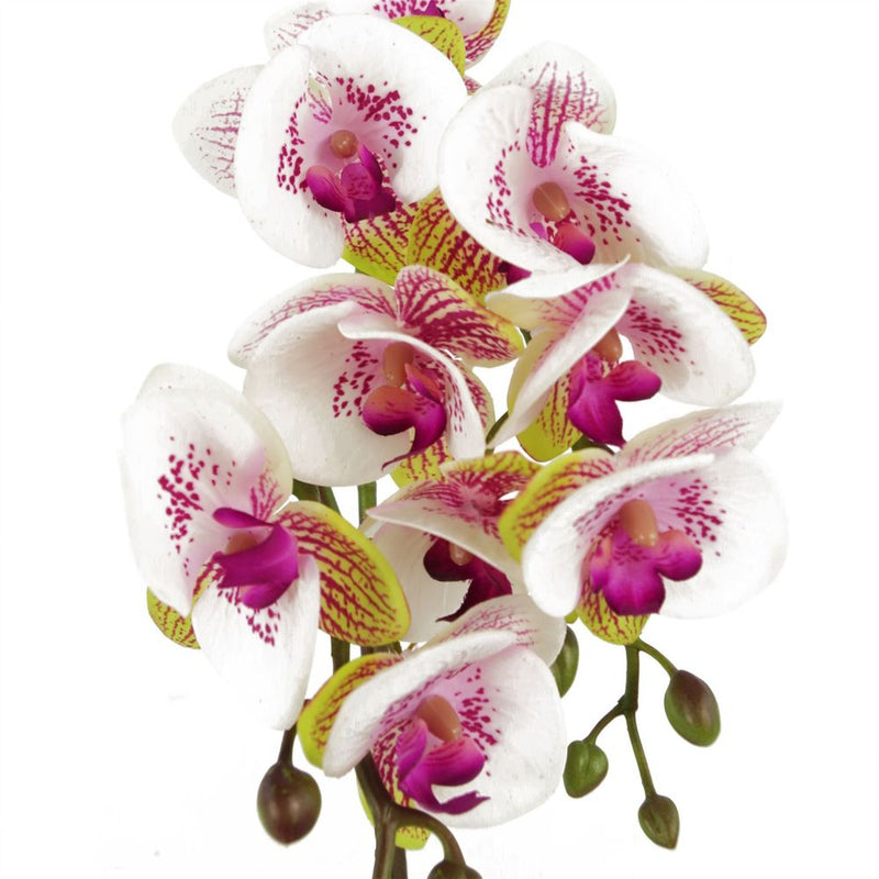 48cm Harlequin Orchid Artificial  - Pink with Gold Pot