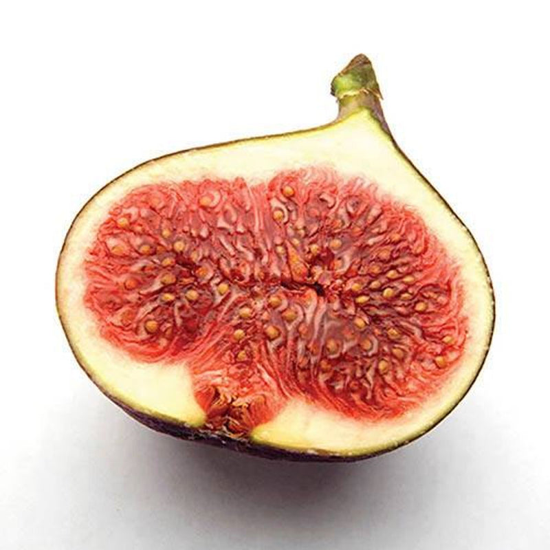 Fig &