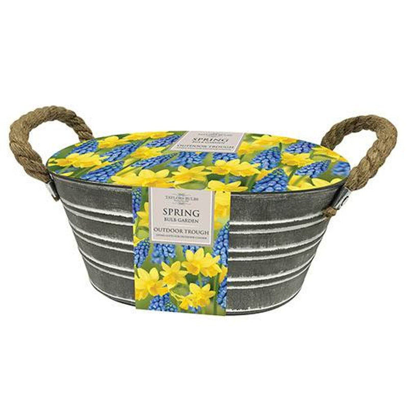 Outdoor Metal Narcissi & Muscari Planter
