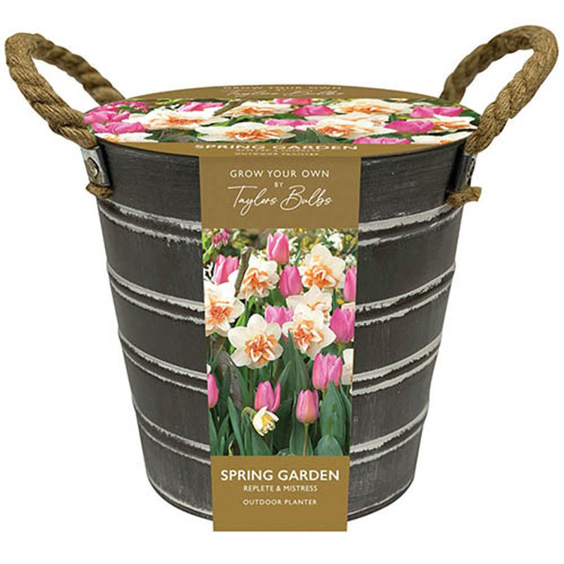 Outdoor Metal Narcissi & Muscari Planter Bucket