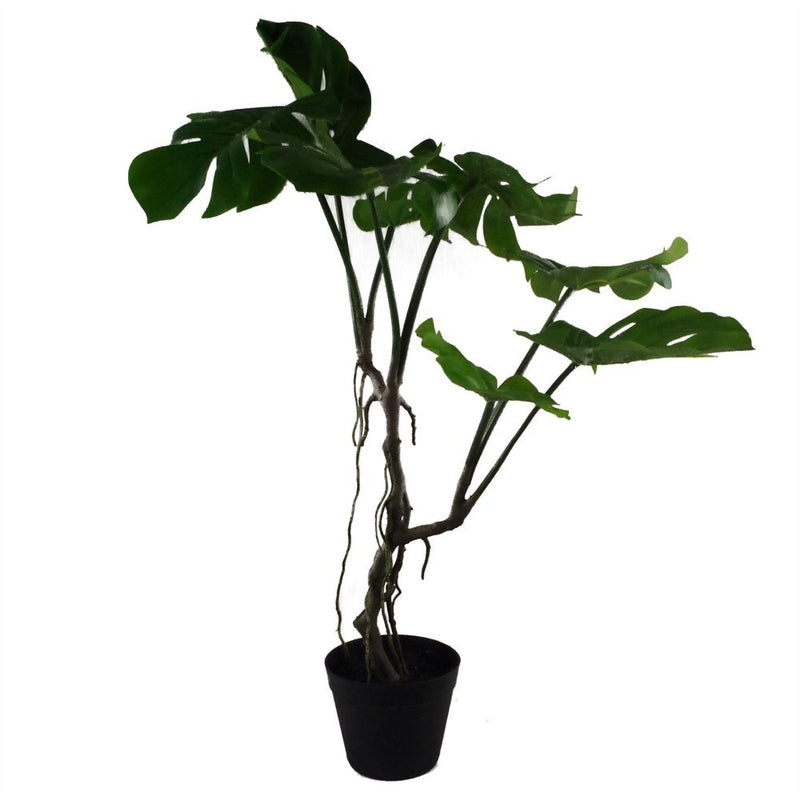 60cm Artificial Twisted Stem Monstera Plant