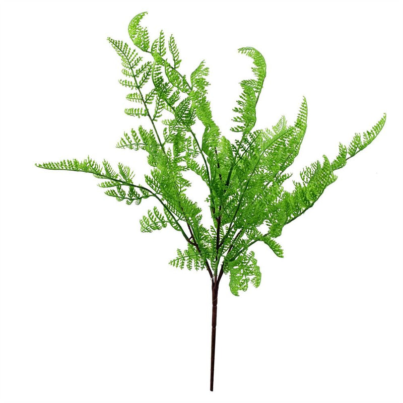 6 x 50cm Southern Wood Fern Bush Dark Green Plant