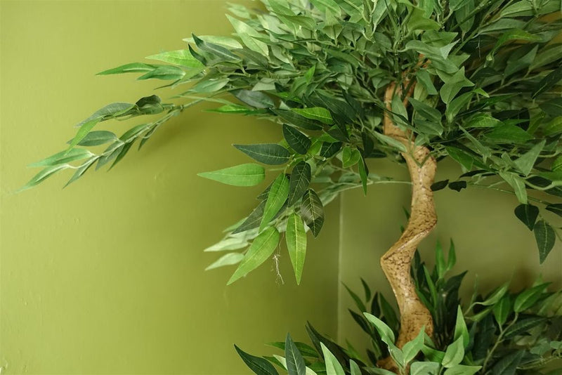 160cm Japanese Ruscus Tree Double Twist Trunk Natural Look