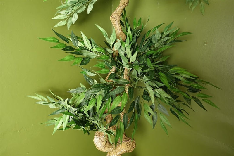 160cm Japanese Ruscus Tree Double Twist Trunk Natural Look