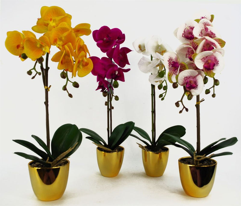 48cm Harlequin Orchid Artificial  - Pink with Gold Pot