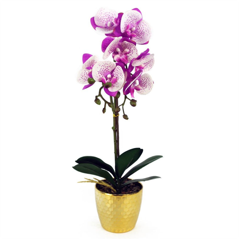 50cm Phalaenopsis Orchid Artificial - Purple / White - Gold Pot