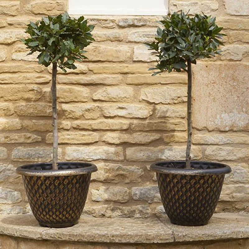 Pair of Large Gold Pinecone Planters 33cm