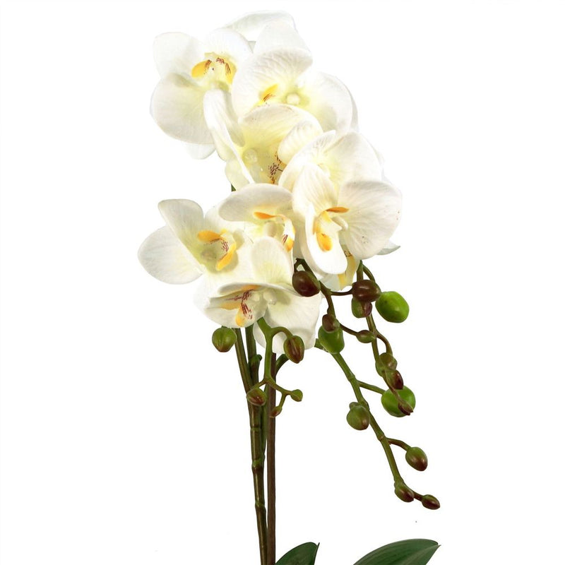 54cm Artificial Orchid Plant - White with Gold Pot