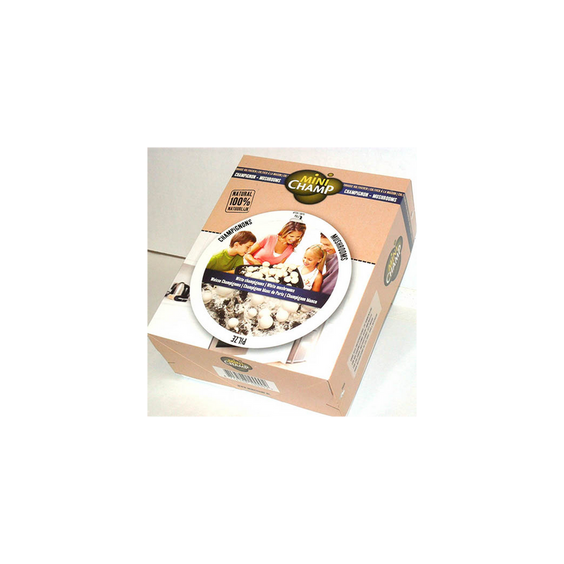 Grow Your Own Mushroom Kit