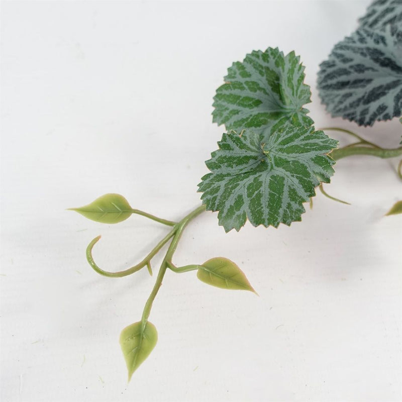50cm Artificial Trailing Begonia Plant