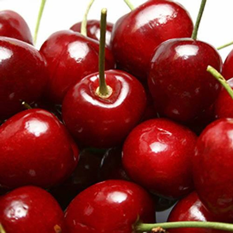 Duo Fruit Cherry Tree - 2 Varieties On One Tree